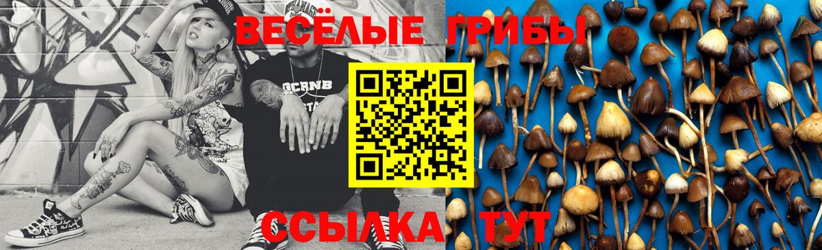 Галлюциногенные грибы мухоморы  Великие Луки  Псилоцибиновые грибы мухоморы 